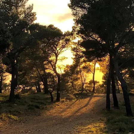 Casa vacanze Les Oliviers - *