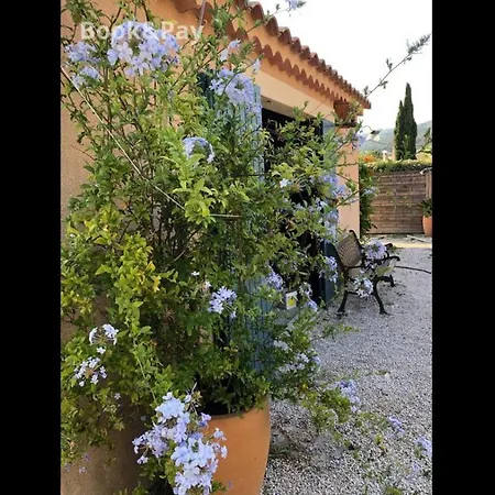 Les Oliviers - Casa vacanze Ceyreste